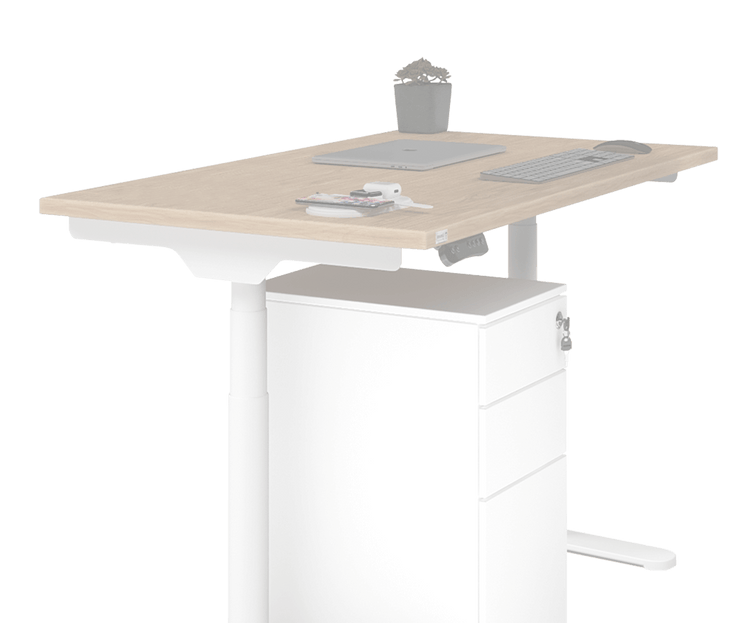 Workstations & Desks